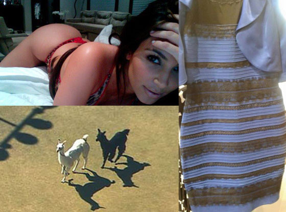 The Dress, Llamas, Kim Kardashian, One Year Ago The Dress, Llamas, Kim Kardashian, One Year Ago